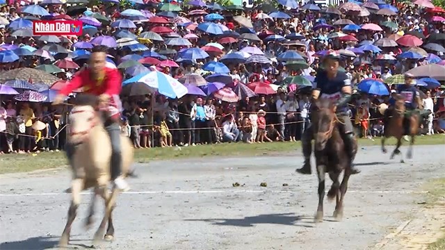 La course de chevaux, une caractéristique culturelle unique de Bac Hà