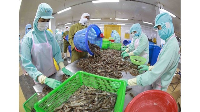 La transformation de crevettes congelées pour l'exportation dans l'usine de Minh Phu dans la province de Hâu Giang. Photo: VNA