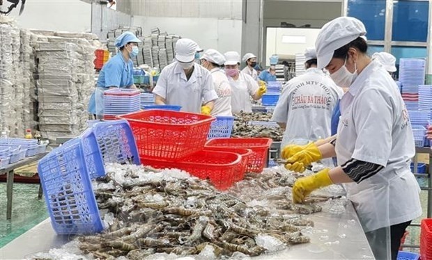 Transformation de crevettes pour l’exportation. Photo : VNA.