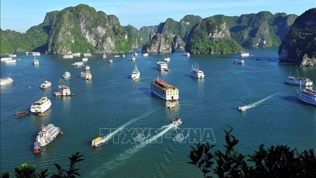 Vue aérienne de la baie de Ha Long, reconnue patrimoine naturel du monde. Photo : VNA.