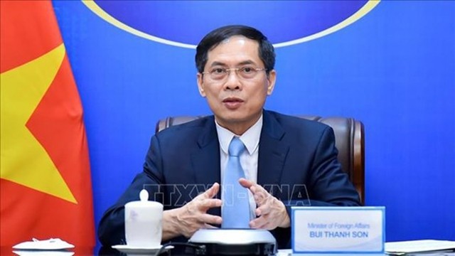 Le ministre des Affaires étrangères, Bui Thanh Son. Photo: VNA
