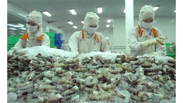Transformation de crevettes pour l'exportation vers la Biélorussie. Photo : VNA.