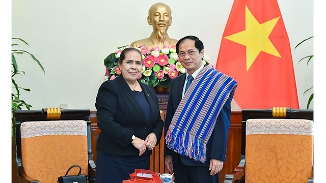 Le ministre des Affaires étrangères, Bùi Thanh Son (à droite) et l'ambassadrice du Timor-Leste au Vietnam, Maria Olandina Isabel Caeiro Alves. Photo : baoquocte.vn.