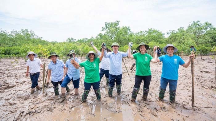 La délégation du Bureau Asie-Pacifique du PNUD participe à la plantation d’une mangrove avec des dirigeants et habitants locaux. Photo : cand.com.vn.