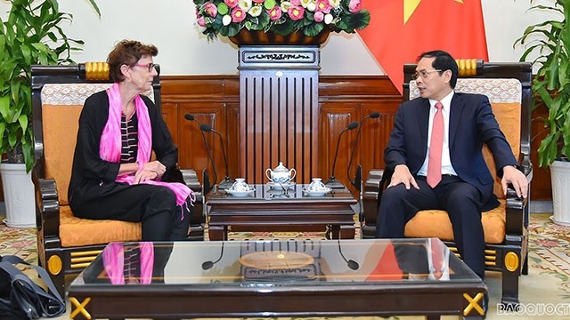Lors de la rencontre entre le ministre vietnamien des Affaires étrangères, Bùi Thanh Son, et l’ambassadrice norvégienne au Vietnam, Grete Lochen. Photo : VNA.